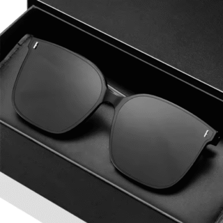 Lunettes de soleil